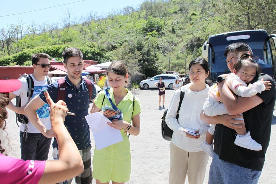 From Naples: Pompeii, Herculaneum, & Vesuvius Full-Day Tour - Skip-the-line tickets and audio guides: what you actually get