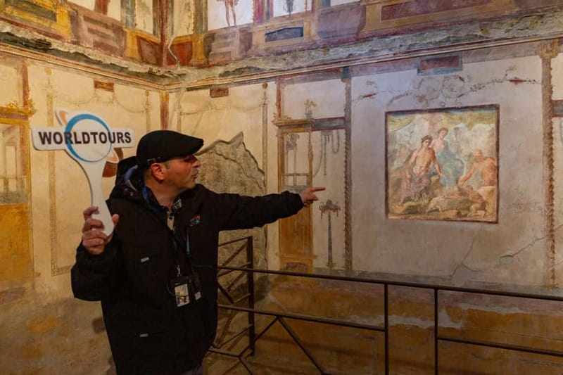 From Naples: Pompeii Private Tour with Transfer and Guide - Skip-the-Line Entrance and the Right Kind of Guidance