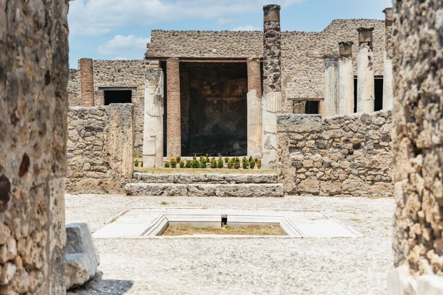 From Naples: Pompeii Ruins & Mount Vesuvius Day Tour - Who this Naples day trip is best for