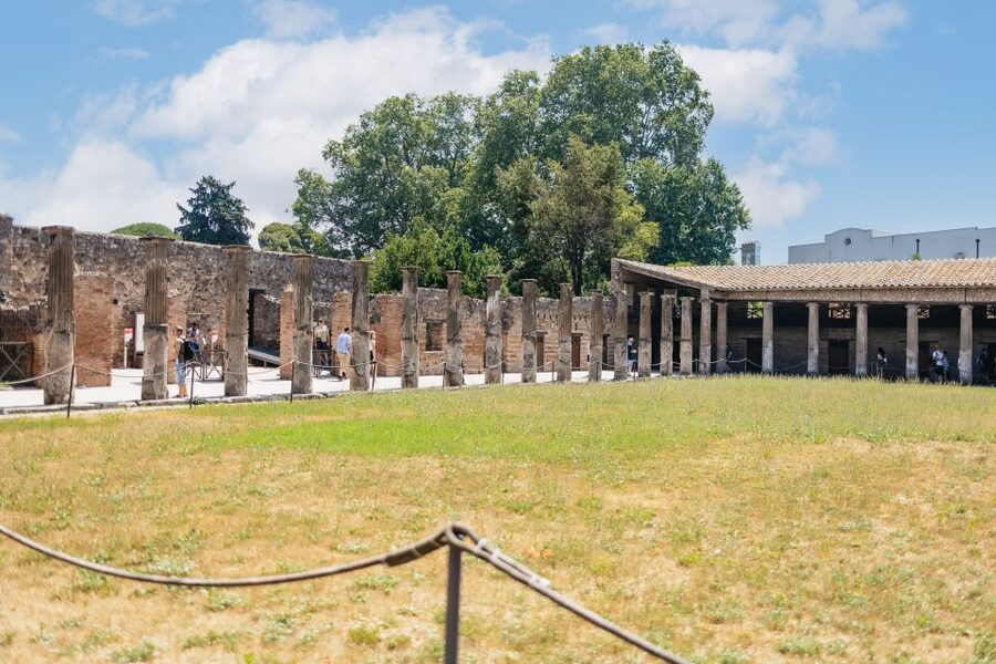 From Naples: Pompeii Ruins & Mount Vesuvius Day Tour - The Vesuvius drive and the crater walk you came for