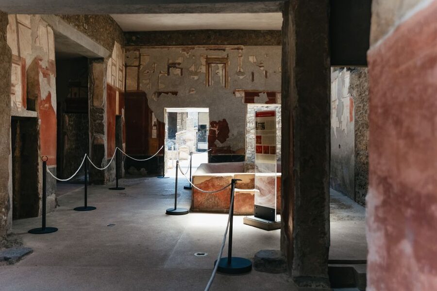 From Naples: Pompeii Ruins & Mount Vesuvius Day Tour - Organization and transportation: where the day feels smooth, and where it can pinch