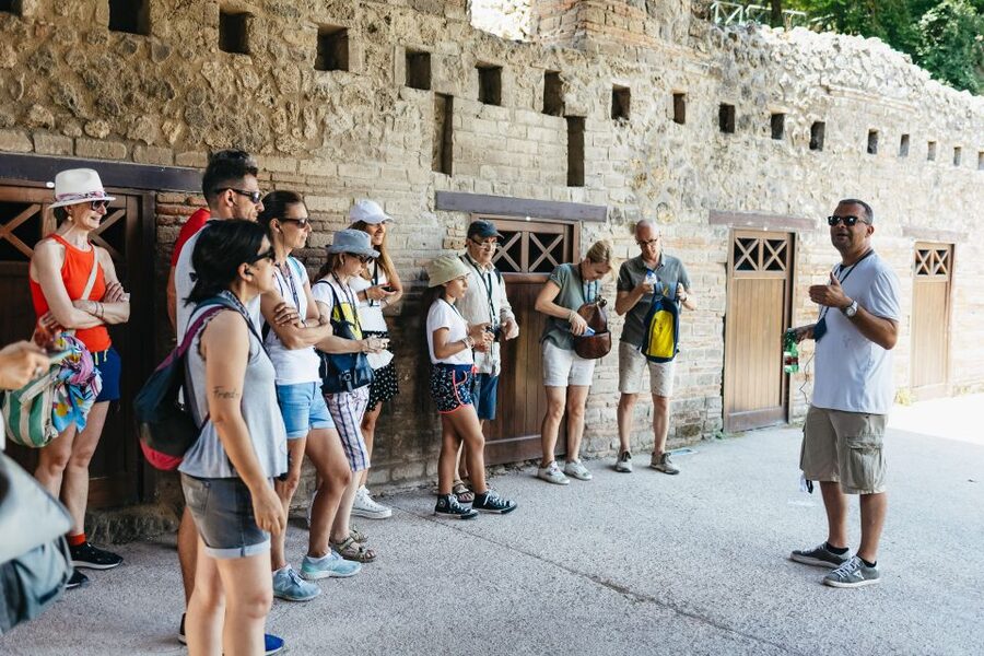From Naples: Pompeii Ruins & Mount Vesuvius Day Tour - Getting from Naples to the ruins without the hassle
