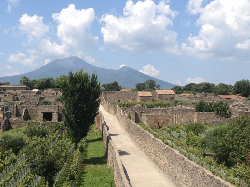 From Naples: Pompeii Ruins VIP Guided Tour - Why This Pompeii VIP Day Trip Works So Well From Naples