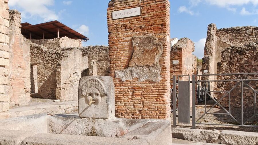 From Naples: Pompeii Ruins VIP Guided Tour - Naples Pickup and Round Trip Transfer, With Less Time Stress