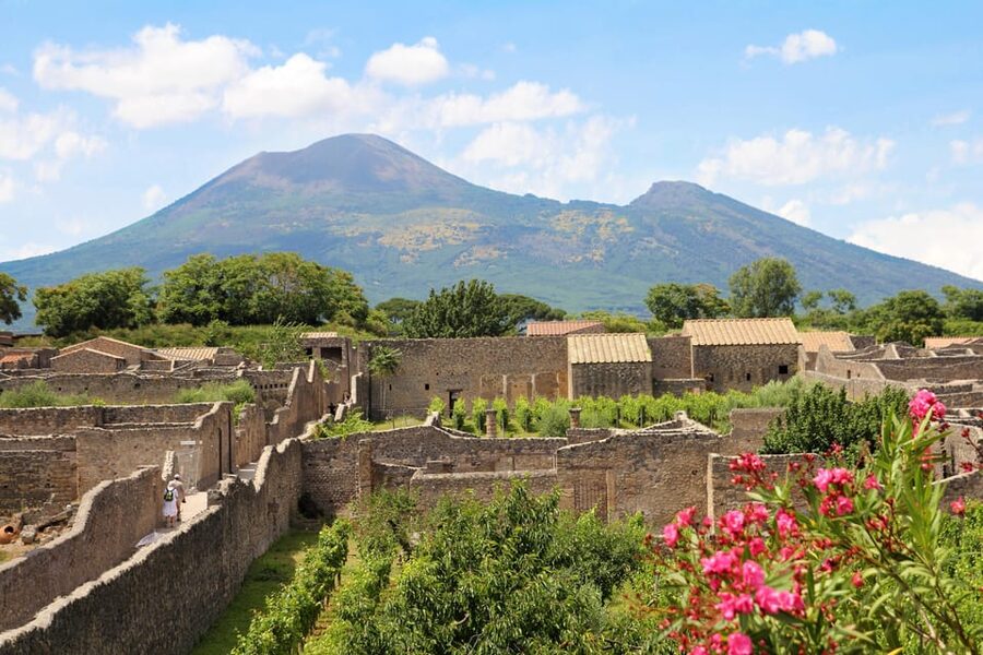 From Naples Port:Pompeii+Vesuvius tour - Vesuvius crater time: what you actually get in 90 minutes