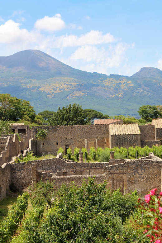 From Naples Port:Pompeii+Vesuvius tour - Pompeii with 2 hours of free time, plus a choose-your-own route audio guide