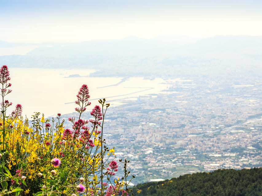 From Naples Port: Vesuvius and Pompeii Tour with Tickets - Mount Vesuvius crater walk and the views you will remember