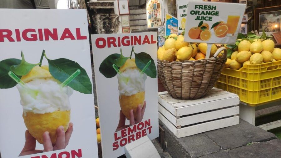 From Naples: Sorrento, Positano, Amalfi and Ravello Tour - Price and value: what you’re really paying for at $135.94 per person