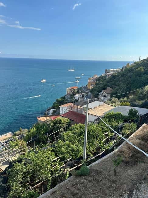 From Naples: Sorrento Positano Amalfi Coast Tour - The driver, the guide, and the language factor