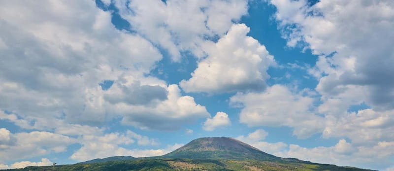 From Naples: Vesuvius Easy Tour - Price and value: what $51.24 gets you, and how to judge the deal