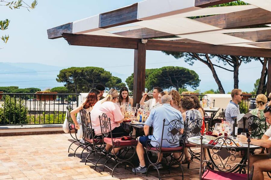 From Naples: Wine Tasting Tour on Vesuvius Slopes with Lunch - Key highlights worth waking up for