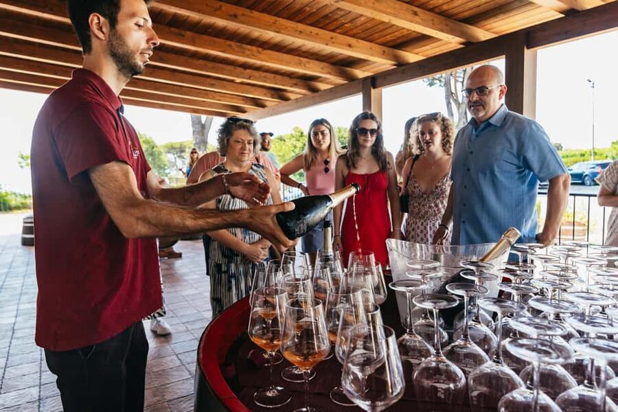 From Naples: Wine Tasting Tour on Vesuvius Slopes with Lunch - Wine tasting lineup: Falanghina, Lacryma Christi, Aglianico