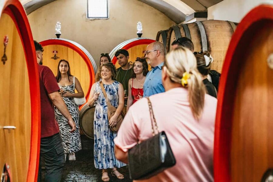 From Naples: Wine Tasting Tour on Vesuvius Slopes with Lunch - The views over Naples and Sorrento