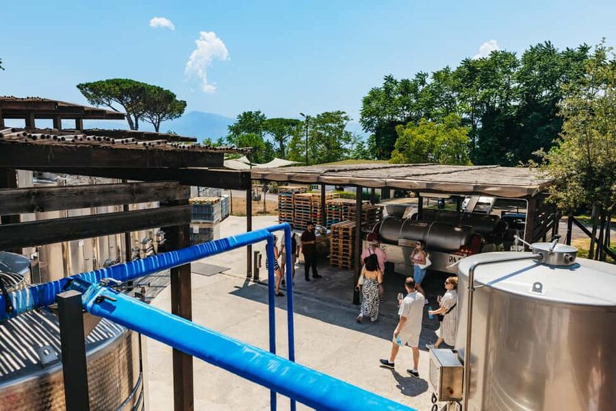 From Naples: Wine Tasting Tour on Vesuvius Slopes with Lunch - Buying bottles and farm products at the store