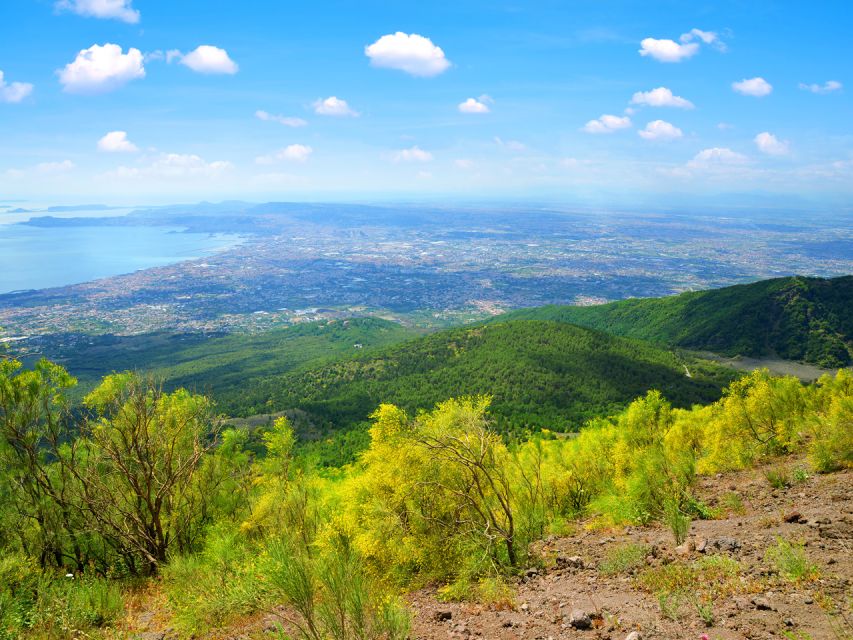 From Pompeii: Bus Transfer to Vesuvius with Park Entry Fee - Meeting Point in Pompeii: Via Roma, 32