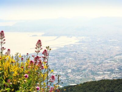 Bus Transfer to Vesuvius with Park Entry Fee