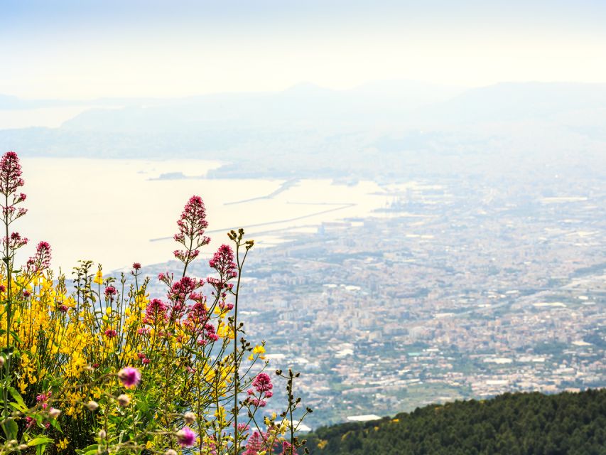 From Pompeii: Bus Transfer to Vesuvius with Park Entry Fee - Price and Value: Is $50.11 a Fair Deal?