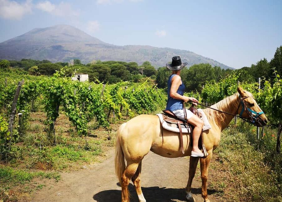 From Pompeii: Mount Vesuvius Horseback Riding Tour - Should you book this Mount Vesuvius horseback riding tour?