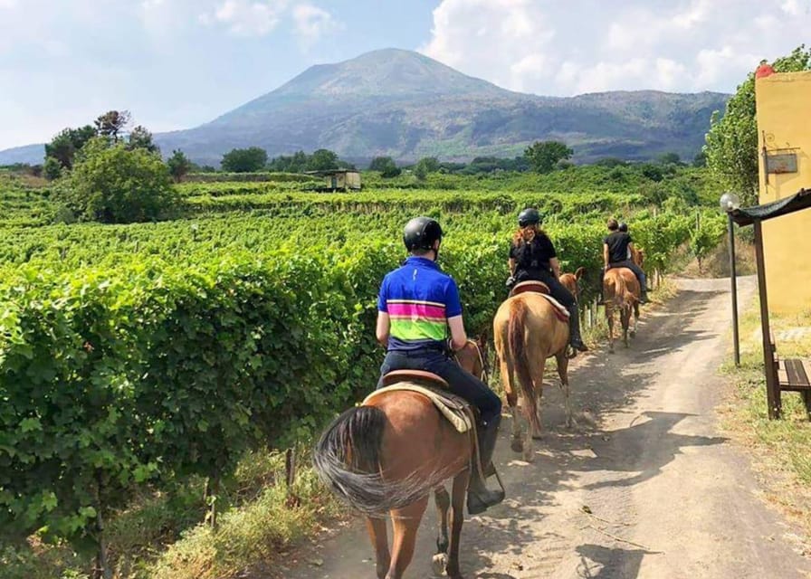 From Pompeii: Mount Vesuvius Horseback Riding Tour - Who should book this Vesuvius horseback tour
