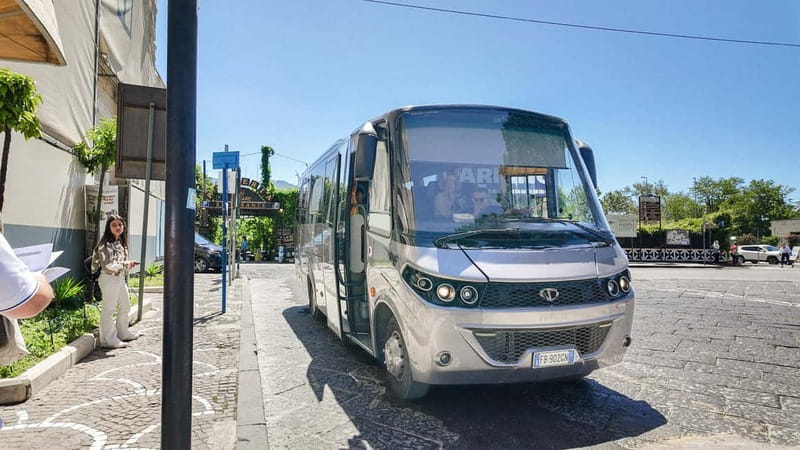 From Pompeii: Mount Vesuvius with bus, ticket and audioguide - Key Highlights Worth Noting