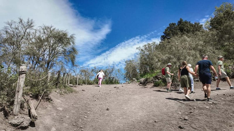 From Pompeii: Mount Vesuvius with bus, ticket and audioguide - Price and Value: Is $39 a Good Deal?