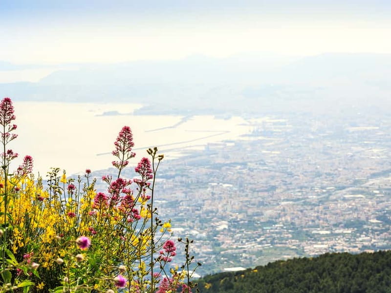 From Pompeii: Mt. Vesuvius Hike & Tour by Bus - Your 3-hour plan from Via Roma to the crater