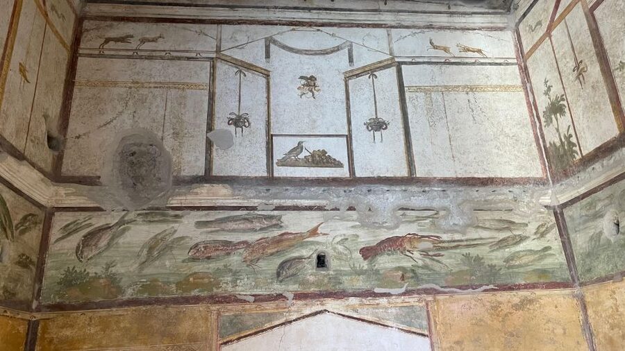 From Positano: Pompeii, Vesuvius, & Wine Tasting with Lunch - Key highlights worth planning for