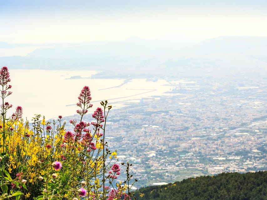 From Salerno_Pompeii&Vesuvius - The transfer rhythm: how much bus time you should expect