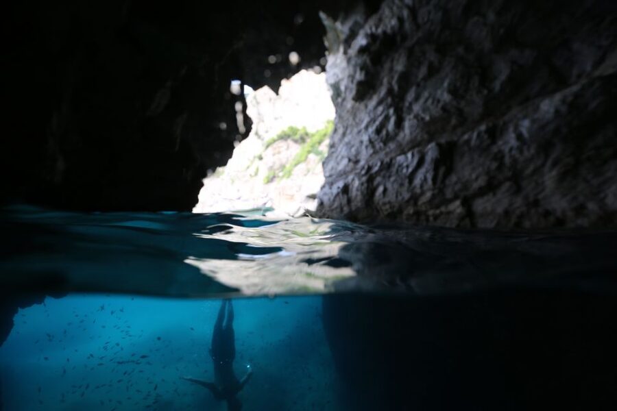 From Sorrento: Capri and Blue Grotto Boat Tour - Price and extra costs: what $202.78 really means in your budget