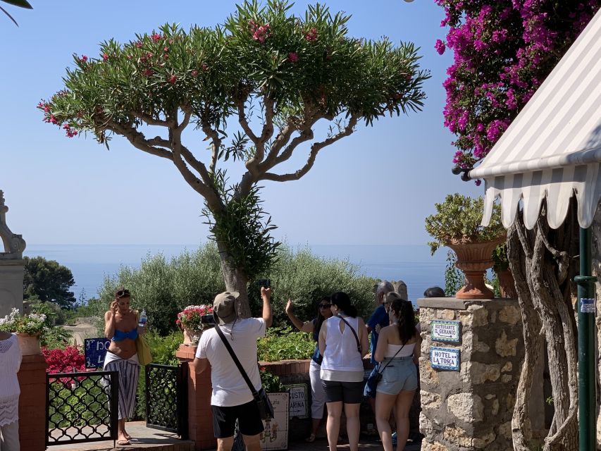From Sorrento: Day Trip to Capri & Anacapri with Blue Grotto - Who this tour is perfect for, and who should think twice