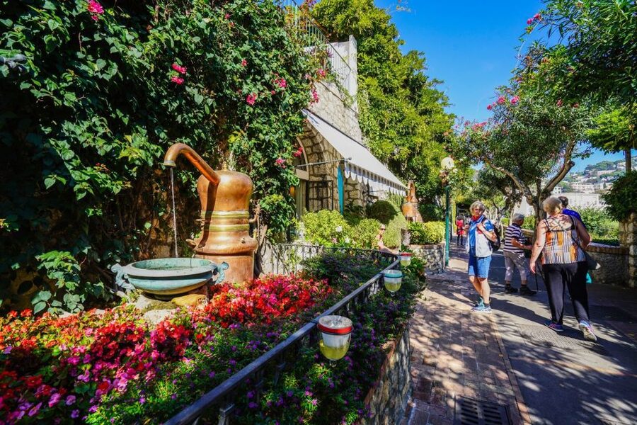 From Sorrento: Day Trip to Capri & Anacapri with Blue Grotto - Free time choices that actually fit the day