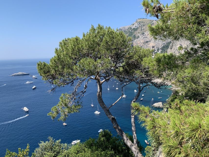 From Sorrento: Day Trip to Capri & Anacapri with Blue Grotto - Speedboat time over the bay: why the ride is part of the value