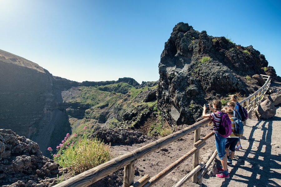 From Sorrento: Pompeii and Vesuvius Tour by Express Train - Price and value: what $191.45 covers, and when it’s worth it