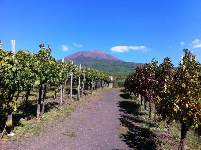From Sorrento: Skip-the-Line Guided Vesuvius Hike and Lunch - Getting Picked Up in Sorrento and Settling In on the Private Bus