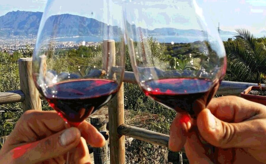 From Sorrento: Skip-the-Line Pompeii Tour and Vineyard Lunch - The 3-Course Lunch and Wine Tasting, What It Really Includes