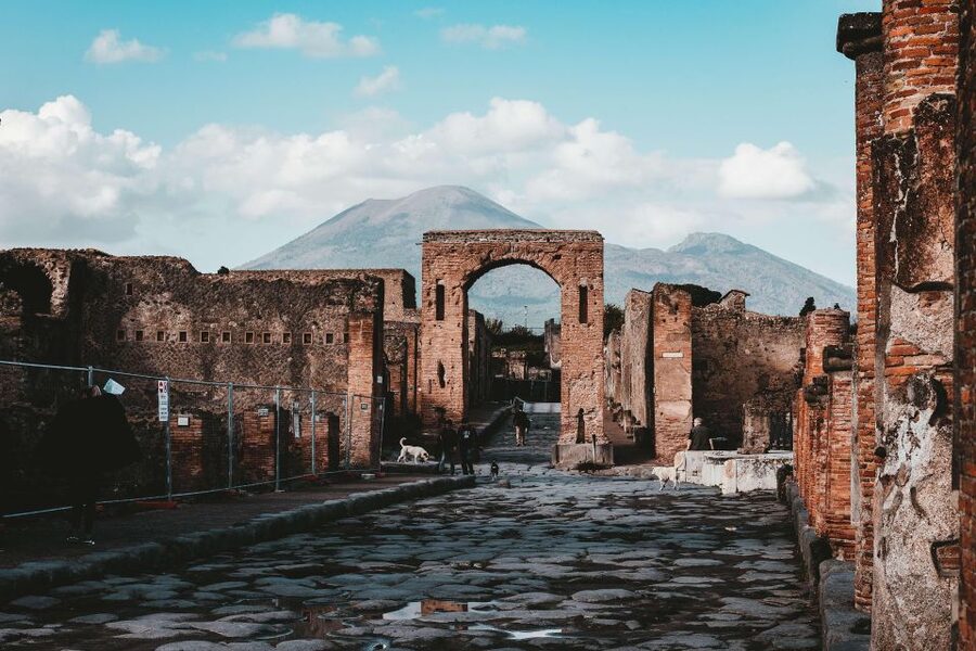 From Sorrento: Skip-the-Line Pompeii Tour and Vineyard Lunch - Guided Streets, Roman Life, and the Volcanic Ash Story
