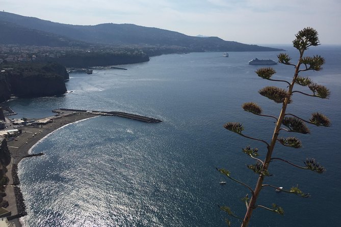 Full Day Private Sorrento & Amalfi Coast Tour from Positano - Private driver from Positano, what you are really paying for
