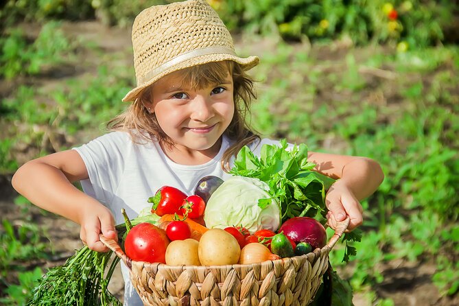 Hands-On Cooking Class & Farmhouse Tour on the Amalfi Coast - Key highlights worth planning for
