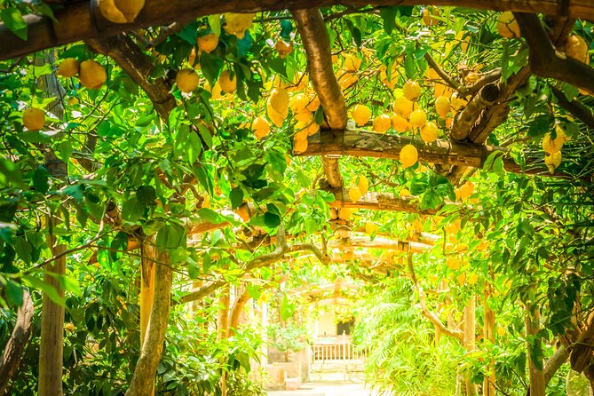Hands-On Cooking Class & Farmhouse Tour on the Amalfi Coast - Drinks With the Meal: Wine, Limoncello, and Espresso as Part of the Lesson
