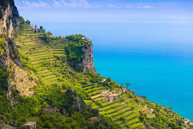 Hands-On Cooking Class & Farmhouse Tour on the Amalfi Coast - The Vegetable Garden Picking: When Your Hands Start the Dinner