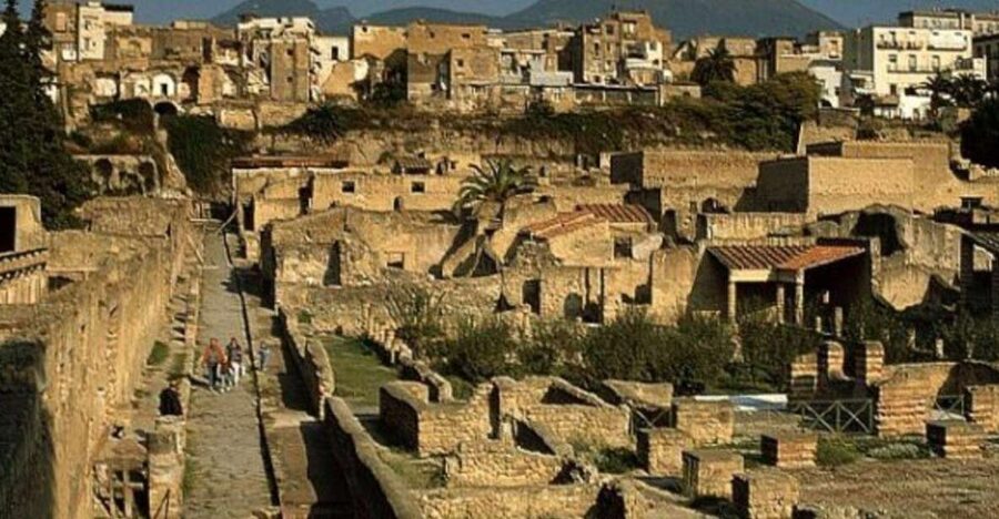 Herculaneum: 2hour Shared Guided Tour + entry tickets - Key highlights to know before you go