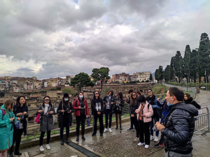Herculaneum: 3D Walking Tour with Skip-the-Line Ticket - What the best guides do, and why it affects your results