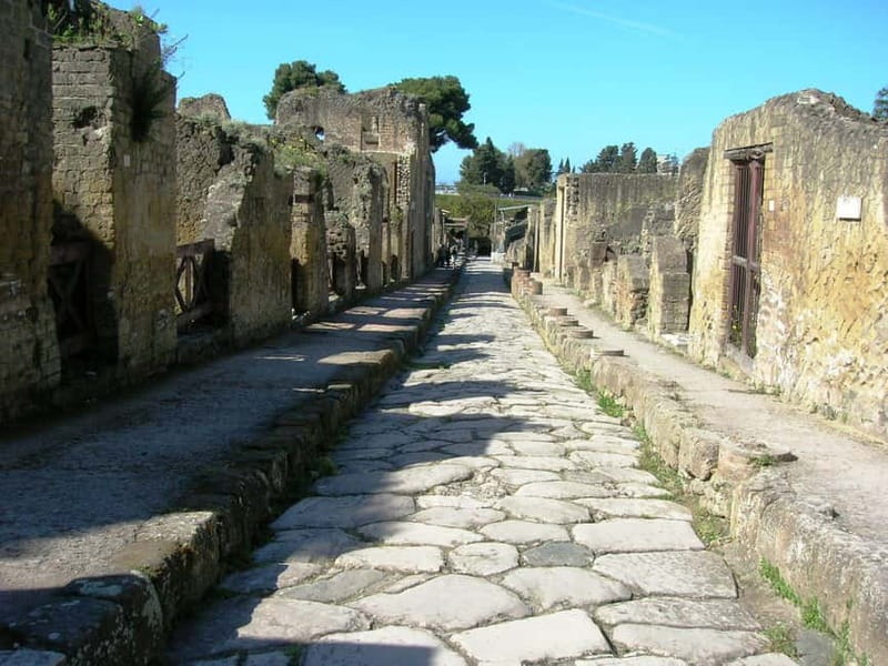 HERCULANEUM AND VESUVIUS: PRESTIGE TOUR FROM NAPLES - Herculaneum in two hours, streets you can actually walk