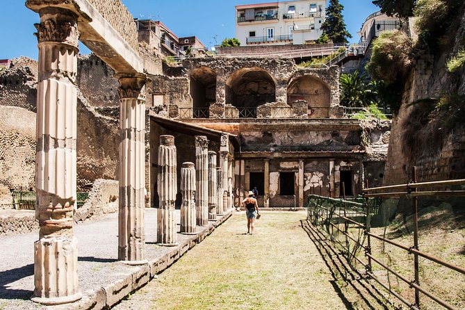 Herculaneum Guided Group Tour from Naples - Parco Acheologico di Ercolano: your 2-hour core experience
