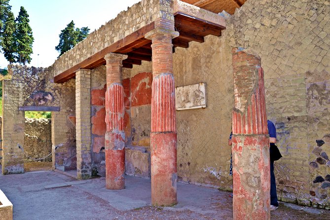 Herculaneum Private Tour with an Archaeologist - Who should book this private Herculaneum archaeologist tour