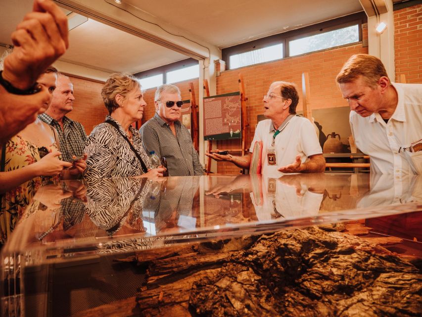 Herculaneum: Private Walking Tour with Archeologist Guide - Cost and Value for a 2-Hour Private Group