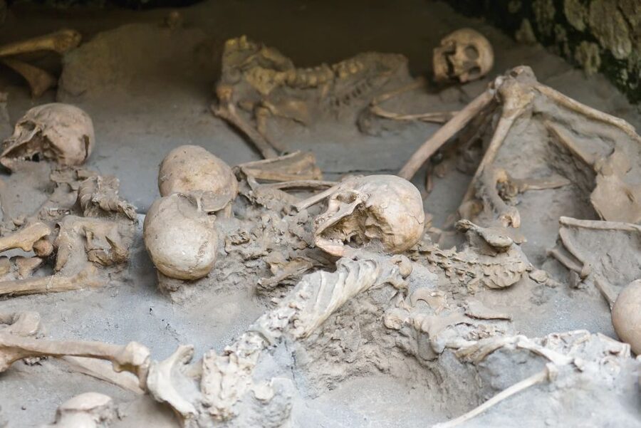 Herculaneum: Private Walking Tour with Archeologist Guide - Your 2-Hour Walking Plan Through the Main Sights