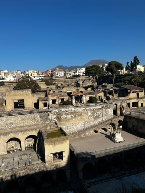 Herculaneum - Small Group Tour (admission included) - Should you book this Herculaneum small-group tour?