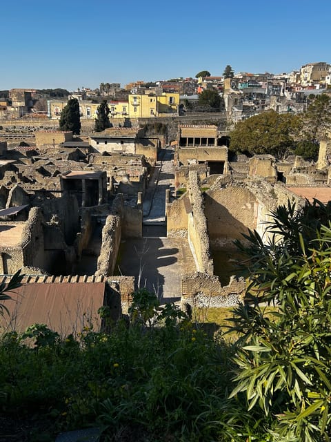 Herculaneum - Small Group Tour (admission included) - Why Herculaneum looks the way it does, preservation explained clearly