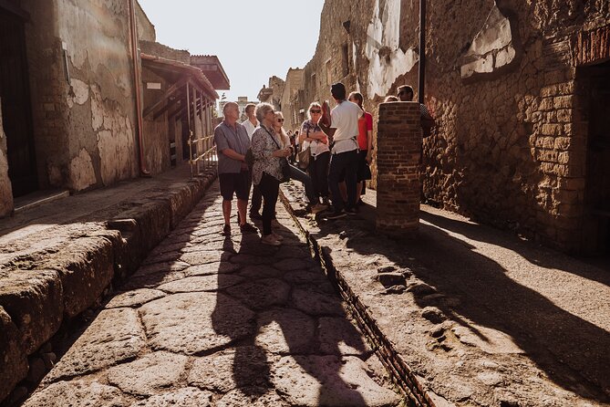 Herculaneum Small Group Tour and Ticket With an Archaeologist - Meeting at the Ticket Office in Ercolano, Then Walking Straight In